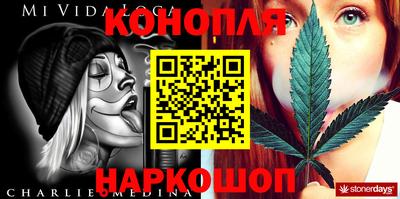стафф Кизляр