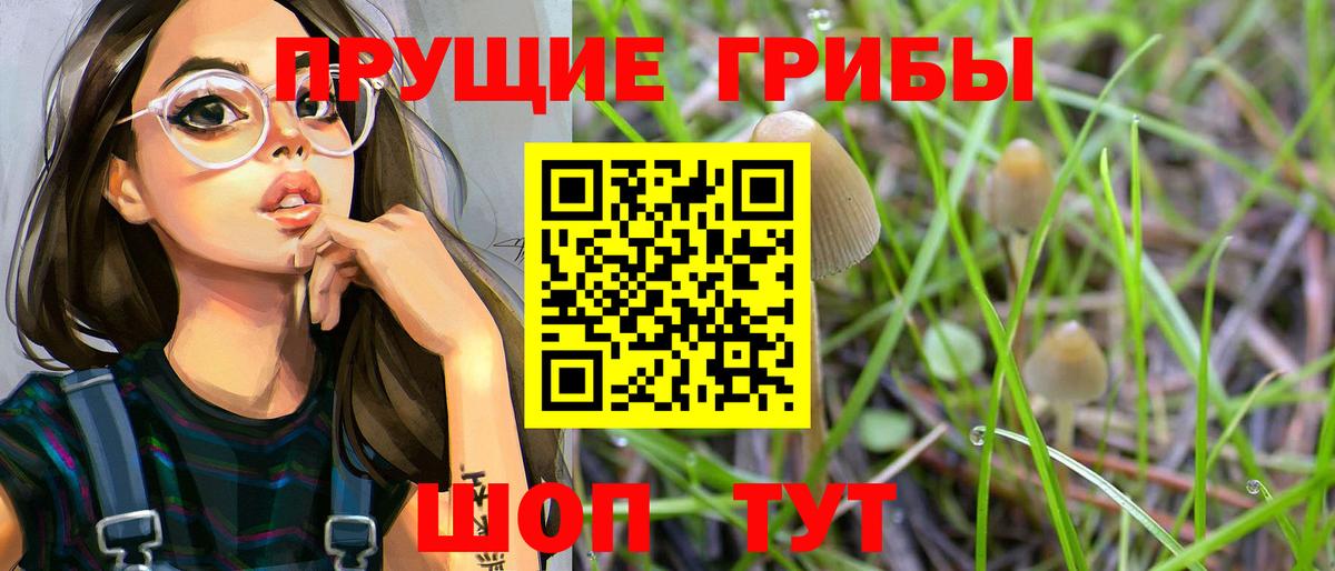 Галлюциногенные грибы Cubensis  Вход с VPN  Славянск-на-Кубани 